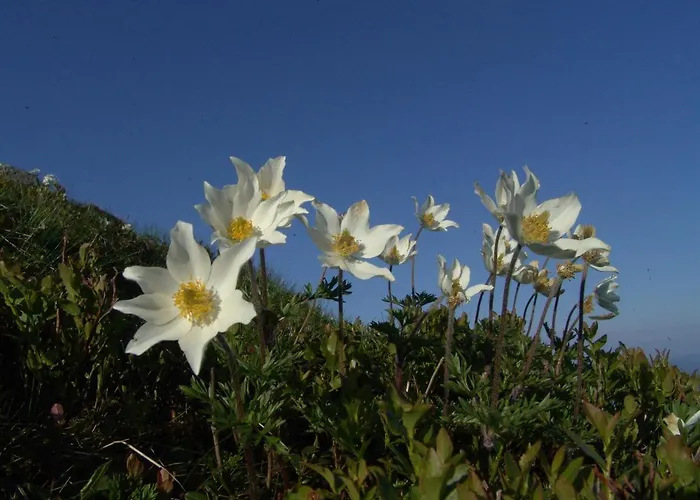 Ośrodek wypoczynkowy Ow Jędruś Zawoja