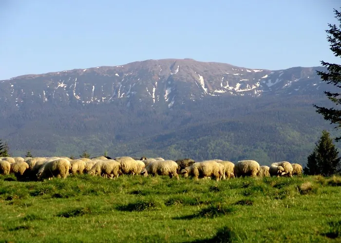 Ośrodek wypoczynkowy Ow Jędruś